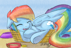 Size: 2200x1500 | Tagged: safe, artist:frecklesfanatic, rainbow dash, pegasus, pony, basket, behaving like a cat, behaving like a dog, collar, cute, dashabetes, pet bowl, sleeping