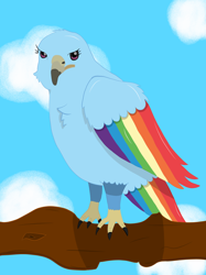 Size: 1400x1867 | Tagged: safe, artist:augjodo, rainbow dash, hawk, atg 2018, digital art, newbie artist training grounds, solo, species swap