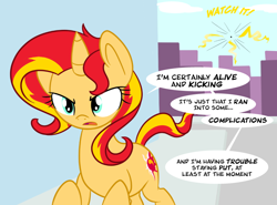 Size: 800x592 | Tagged: safe, artist:sunsetshimmerreallyhatesyou, sunset shimmer, pony, unicorn, tumblr