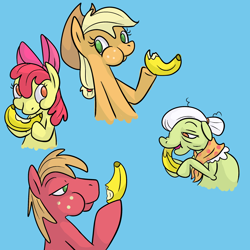 Size: 2000x2000 | Tagged: safe, artist:ponygoggles, apple bloom, applejack, big macintosh, granny smith, earth pony, pony, apple family, banana, blue background, eating, female, filly, high res, male, mare, no pupils, simple background, stallion