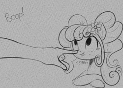 Size: 1295x925 | Tagged: safe, artist:cosmonaut, derpibooru import, petunia petals, oc, oc:anon, boop, monochrome