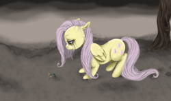 Size: 1276x750 | Tagged: safe, artist:colorlesscupcake, fluttershy, pegasus, pony, crying, female, flower, hilarious in hindsight, mare, no life, sad, solo