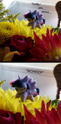 Size: 1000x2019 | Tagged: safe, artist:tinyequine, twilight sparkle, twilight sparkle (alicorn), alicorn, allergies, bouquet, cute, female, flower, irl, micro, photo, plushie, sneezing, solo, text, twiabetes