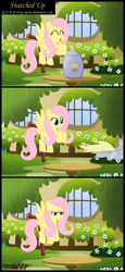 Size: 1248x2708 | Tagged: safe, artist:toxic-mario, derpy hooves, fluttershy, pegasus, pony, comic, duo, duo female, female, fluttershy's cottage, mare, muffin, photoshop