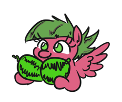 Size: 348x292 | Tagged: safe, artist:jargon scott, oc, oc only, oc:low rider, pegasus, pony, female, food, holding, mare, melon, simple background, smiling, solo, spread wings, watermelon, white background, wings