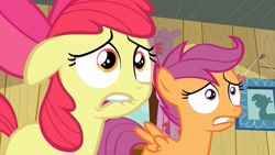 Size: 1280x720 | Tagged: safe, screencap, apple bloom, scootaloo, earth pony, pegasus, pony, hearts and hooves day (episode), female, filly, lip bite, reaction image