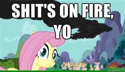 Size: 360x207 | Tagged: safe, edit, edited screencap, screencap, fluttershy, pegasus, pony, dragonshy, image macro, ponyville, shit's on fire yo, smoke, solo, vulgar