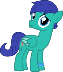 Size: 4000x4556 | Tagged: safe, artist:tentavamp, oc, oc only, oc:magnifying glass, pegasus, pony, bracelet, colt, jewelry, looking at you, male, show accurate, simple background, smiling, solo, transparent background