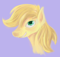 Size: 1000x950 | Tagged: safe, artist:sb, braeburn, earth pony, pony, bust, grin, male, portrait, profile, simple background, solo, stallion