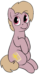 Size: 314x605 | Tagged: safe, artist:heretichesh, oc, oc only, oc:soft sermon, earth pony, pony, bible, cutie mark, male, simple background, solo, white background