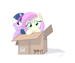 Size: 900x750 | Tagged: safe, artist:zlack3r, fluttershy, twilight sparkle, pegasus, pony, unicorn, box, cardboard box, duo, female, mare, pony in a box, simple background, white background