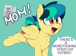 Size: 2048x1499 | Tagged: safe, artist:shinodage, edit, edited edit, oc, oc:apogee, cat, pegasus, pony, adorkable, blink motherfucker, blue background, body freckles, bucking, butt freckles, chest fluff, chest freckles, cute, dialogue, dork, ear freckles, excited, exploitable meme, female, filly, freckles, meme, michael rapaport, mom! meme, ocbetes, open mouth, raised leg, shitposting, simple background, smiling, speech bubble, text, vulgar, wilfred, wilfred warrior
