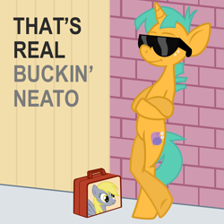 Size: 3000x3000 | Tagged: safe, artist:the smiling pony, derpy hooves, snails, pegasus, pony, unicorn, bipedal, bipedal leaning, brick wall, colt, female, high res, inkscape, leaning, male, mare, neato, reaction image, smiling, solo, sunglasses, vector