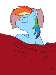 Size: 1119x1495 | Tagged: dead source, safe, artist:grumblepluck, rainbow dash, pegasus, pony, bed, female, mare, pillow, profile, sleeping, solo