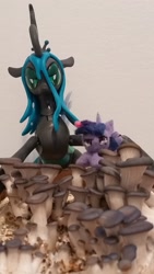 Size: 1836x3264 | Tagged: safe, artist:tinyequine, queen chrysalis, twilight sparkle, twilight sparkle (alicorn), alicorn, changeling, changeling queen, female, figurine, food, irl, merchandise, mushroom, mushrooms, oyster mushroom, photo, plushie