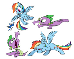 Size: 900x720 | Tagged: safe, artist:sibsy, rainbow dash, spike, bird, dragon, pegasus, pony, behind the scenes, female, male, mare, simple background, white background