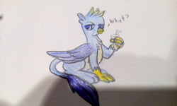 Size: 2880x1728 | Tagged: safe, artist:shelltoon, derpibooru exclusive, gallus, griffon, colored sketch, drink, male, photo, sketch, solo, traditional art, wat