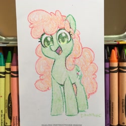 Size: 2048x2048 | Tagged: safe, artist:dawnfire, oc, earth pony, pony, earth pony oc, solo, traditional art