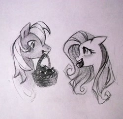 Size: 3118x3006 | Tagged: safe, artist:holivi, big macintosh, fluttershy, earth pony, pegasus, pony, apple, basket, blushing, eye contact, female, fluttermac, happy, high res, looking at each other, male, mare, monochrome, mouth hold, pencil drawing, shipping, simple background, stallion, straight, traditional art
