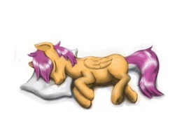 Size: 1023x723 | Tagged: safe, artist:steamroller988, scootaloo, pegasus, pony, female, filly, pillow, simple background, sleeping, solo