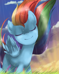 Size: 642x800 | Tagged: dead source, safe, artist:loyaldis, rainbow dash, pegasus, pony, eyes closed, female, happy, mare, rain, smiling, solo, standing