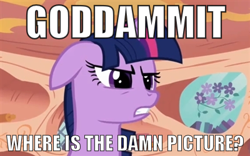 Size: 400x250 | Tagged: safe, edit, edited screencap, screencap, twilight sparkle, pony, unicorn, book, bust, female, floppy ears, flower, frown, golden oaks library, gritted teeth, image macro, mare, meme, picture, portrait, solo, twilight is not amused, vulgar