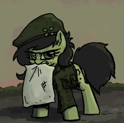 Size: 299x296 | Tagged: safe, artist:plunger, oc, oc only, oc:anon filly, earth pony, pony, angry, clothes, clover, dirt, dirty, ear fluff, female, filly, grass, hat, looking at you, military, military uniform, mouth hold, pillow, question mark, simple background, solo