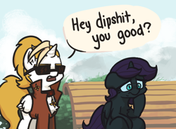 Size: 528x389 | Tagged: safe, artist:plunger, oc, oc only, oc:dyx, oc:nyx, alicorn, pony, alicorn oc, bench, clothes, dialogue, duo, female, filly, siblings, sisters, sunglasses, vulgar