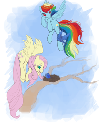 Size: 530x650 | Tagged: safe, artist:noel, fluttershy, rainbow dash, bird, pegasus, pony, female, flying, mare, nest