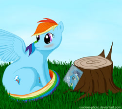 Size: 640x574 | Tagged: safe, artist:el-yeguero, artist:ryedeer-photo, rainbow dash, soarin', pegasus, pony, blushing, female, looking back, male, mare, shipping, sitting, soarindash, straight, tree stump