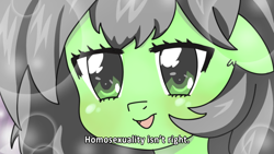 Size: 1280x720 | Tagged: safe, artist:lockhe4rt, oc, oc:anon filly, pony, ear fluff, female, filly, floppy ears, fushigi na somera-chan, head, heterosexual, homophobia, lens flare, op is a cuck, open mouth, smiling, solo, trace, tradition