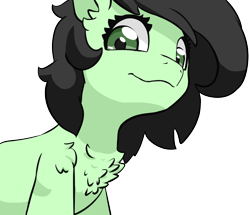 Size: 1254x1080 | Tagged: safe, artist:lockhe4rt, oc, oc only, oc:anon filly, chest fluff, female, filly, simple background, solo, transparent background