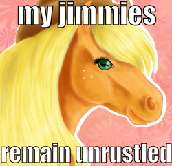 Size: 829x800 | Tagged: artist needed, safe, applejack, earth pony, horse, pony, abstract background, female, image macro, jimmies, mare, meme, realistic, solo