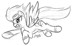 Size: 819x532 | Tagged: safe, artist:zajice, spitfire, goggles, monochrome, solo, wonderbolts, wonderbolts uniform