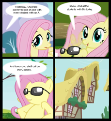 Size: 500x545 | Tagged: safe, cheerilee, fluttershy, pegasus, pony, comic, female, mare, meme, ponyville, sunglasses, yay