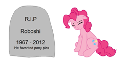 Size: 1139x575 | Tagged: safe, pinkie pie, earth pony, pony, artifact, crying, female, floppy ears, gravestone, implied death, mare, meta, ponibooru, roboshi (user), sad, simple background, sitting, solo, white background