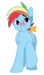 Size: 1477x2513 | Tagged: safe, artist:wicklesmack, rainbow blitz, rainbow dash, pegasus, pony, blitzabetes, blushing, cute, dashabetes, flower, flower in mouth, grin, lip bite, male, mouth, mouth hold, one hoof raised, raised hoof, rule 63, rule63betes, sideways glance, simple background, smiling, solo, squee, stallion, transparent background