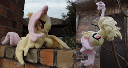 Size: 1661x881 | Tagged: safe, artist:meggchan, fluttershy, bat pony, pony, bats!, flutterbat, irl, photo, plushie, race swap, that was fast