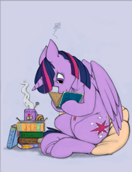 Size: 746x968 | Tagged: safe, artist:longinius, artist:scarletvye, edit, twilight sparkle, twilight sparkle (alicorn), alicorn, pony, book, colored, female, floppy ears, frown, grumpy, mare, pillow, reading, sitting, solo