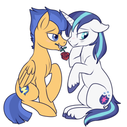 Size: 500x500 | Tagged: safe, artist:lulubell, flash sentry, shining armor, pony, unicorn, backwards cutie mark, blushing, cute, flower, flower in mouth, gay, husbando thief, male, mouth hold, rose, shiningsentry, shipping, simple background, transparent background, unshorn fetlocks