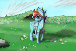 Size: 500x333 | Tagged: safe, artist:marsminer, rainbow blitz, rainbow dash, pegasus, pony, commission, rule 63, solo