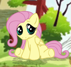 Size: 709x672 | Tagged: safe, artist:megasweet, fluttershy, pegasus, pony, cute, female, filly, fluttershy's cottage, foal, gif, looking at you, non-animated gif, shadow, sitting, solo