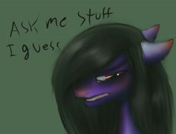 Size: 2048x1556 | Tagged: safe, artist:brainiac, oc, oc only, oc:brainiac, earth pony, pony, ask, male, purple, solo, stallion, tumblr