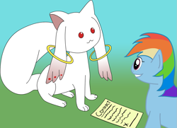 Size: 965x699 | Tagged: safe, artist:mies-backfire, rainbow dash, incubator (species), pegasus, pony, contract, female, gradient background, kyubey, mare, puella magi madoka magica