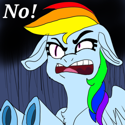 Size: 1730x1730 | Tagged: safe, artist:brainiac, rainbow dash, pegasus, pony, floppy ears, icon, meme, no, reaction image, solo, text