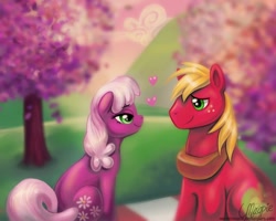 Size: 1000x800 | Tagged: dead source, safe, artist:laurenmagpie, big macintosh, cheerilee, earth pony, pony, hearts and hooves day (episode), cheerimac, eye contact, female, heart, looking at each other, love, male, mare, outdoors, shipping, sitting, stallion, straight, tree