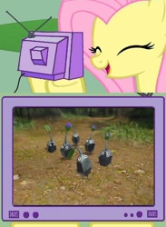 Size: 563x771 | Tagged: safe, fluttershy, pegasus, pony, exploitable meme, female, mare, meme, obligatory pony, pikmin, pikmin 3, rock pikmin, television, tv meme