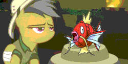 Size: 1738x867 | Tagged: safe, daring do, pegasus, pony, bad treasure, bandage, exploitable meme, female, kanto pokémon, magikarp, mare, meme, pokémon, pokémon red and blue, water type pokémon