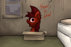 Size: 1280x854 | Tagged: safe, artist:marsminer, oc, oc only, oc:mars miner, pony, box, dialogue, here i am, idiot box, pony in a box, reference, spongebob squarepants