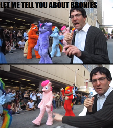 Size: 767x868 | Tagged: safe, big macintosh, pinkie pie, rainbow dash, twilight sparkle, earth pony, human, pegasus, pony, unicorn, brony, fursuit, irl, irl human, male, news, photo, reporter, stallion, text